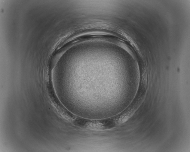 X0000086230403200703291335