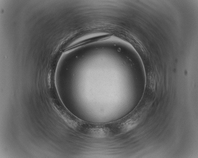 X0000086230404200703291335
