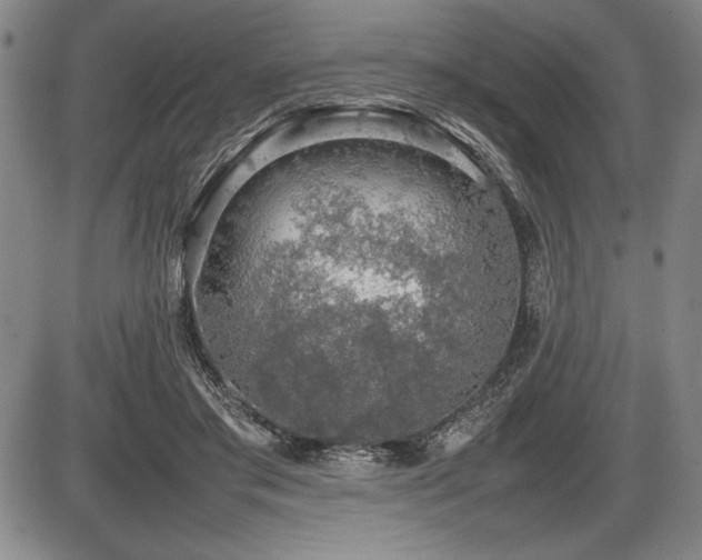 X0000086230405200703291335