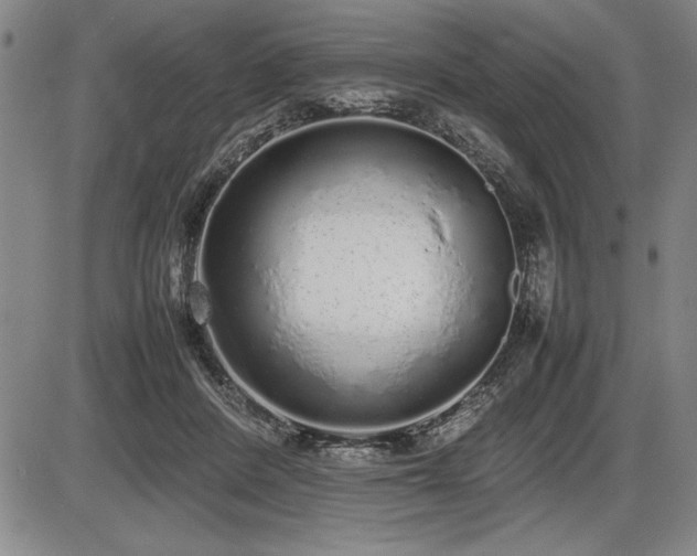 X0000086230408200703291335