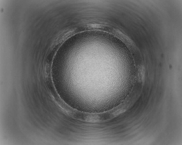 X0000086230410200703291335
