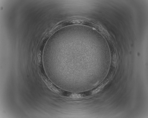 X0000086230413200703291334