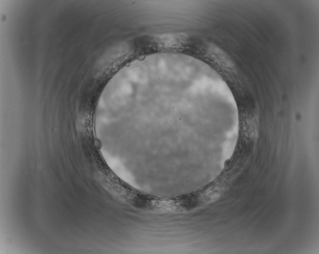 X0000086230419200703291334