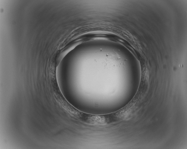 X0000086230421200703291334