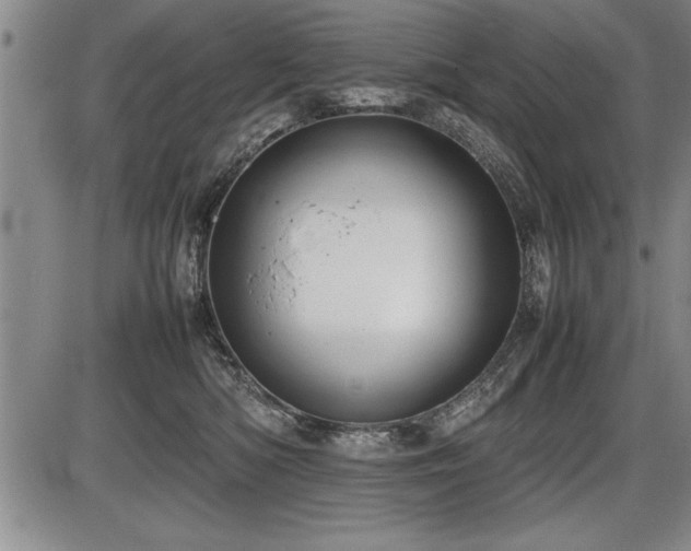 X0000086230422200703291334