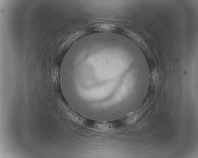 X0000086230423200703291334