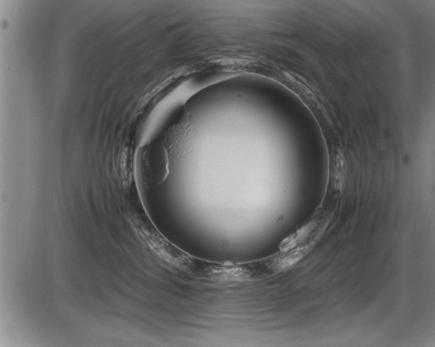 X0000086230428200703291334