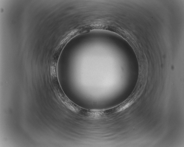 X0000086230432200703291334