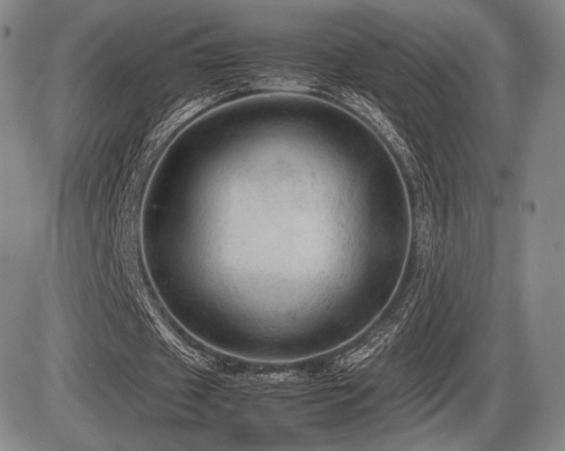 X0000086230433200703291333