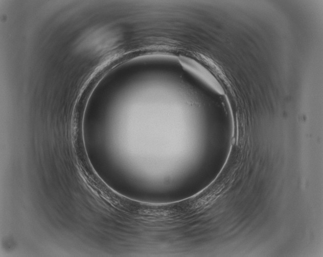 X0000086230435200703291333