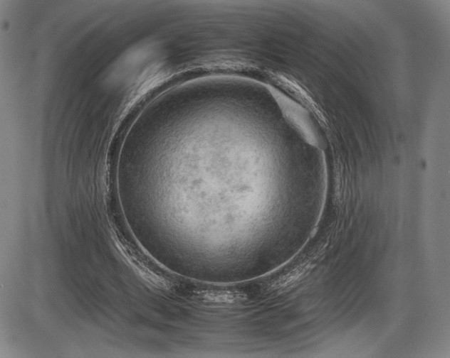 X0000086230439200703291333