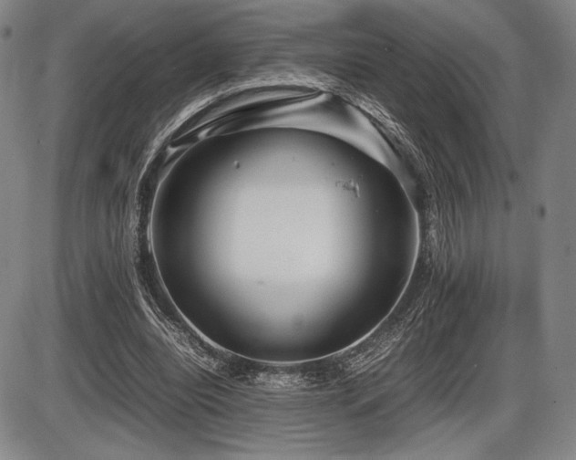 X0000086230440200703291333