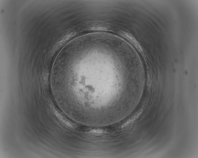 X0000086230441200703291333