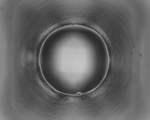 X0000086230442200703291333