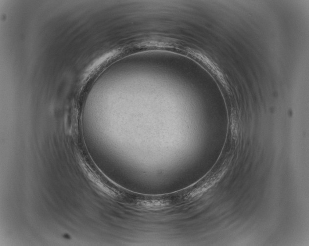 X0000086230445200703291334