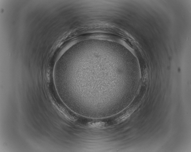 X0000086230452200703291334