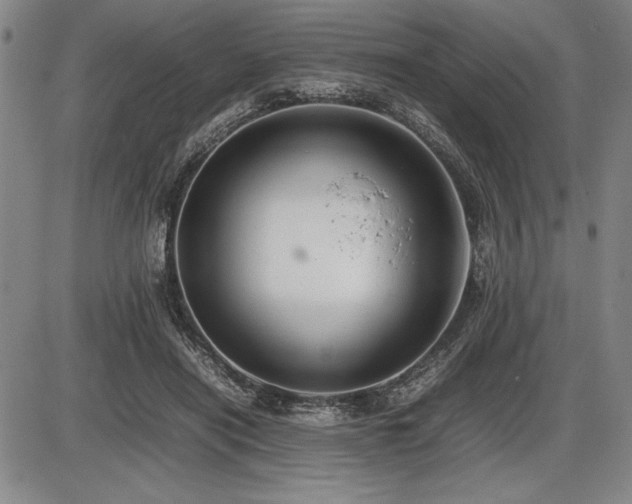 X0000086230454200703291334