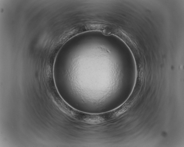 X0000086230459200703291334