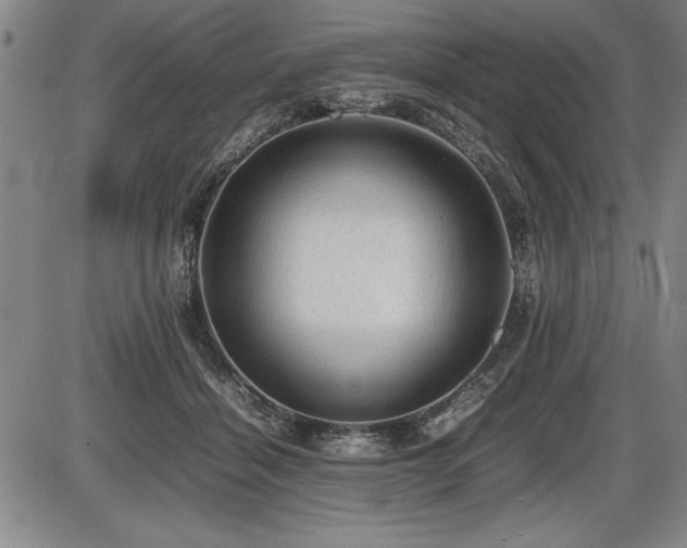 X0000086230460200703291334