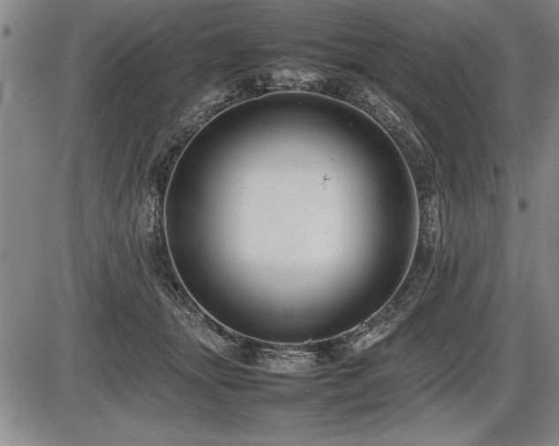 X0000086230463200703291334