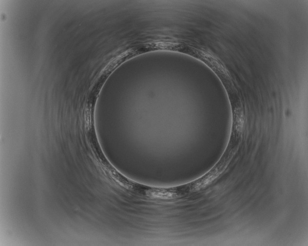 X0000086230471200703291334