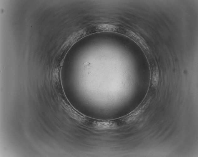 X0000086230473200703291334