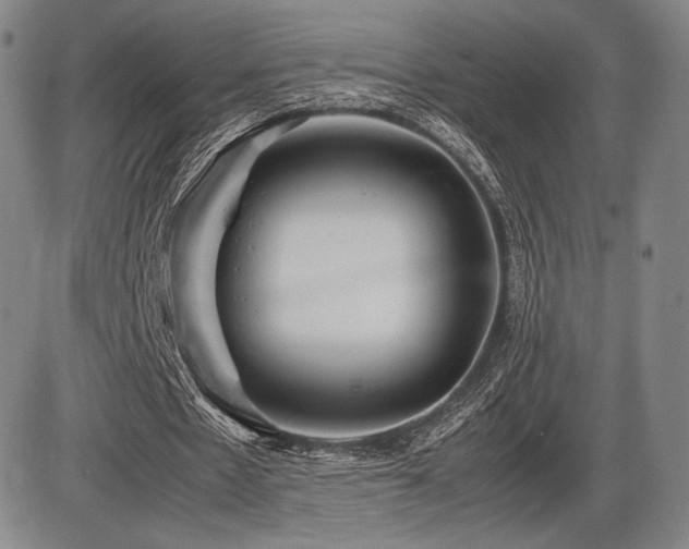 X0000086230481200703291333