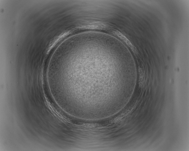 X0000086230482200703291333