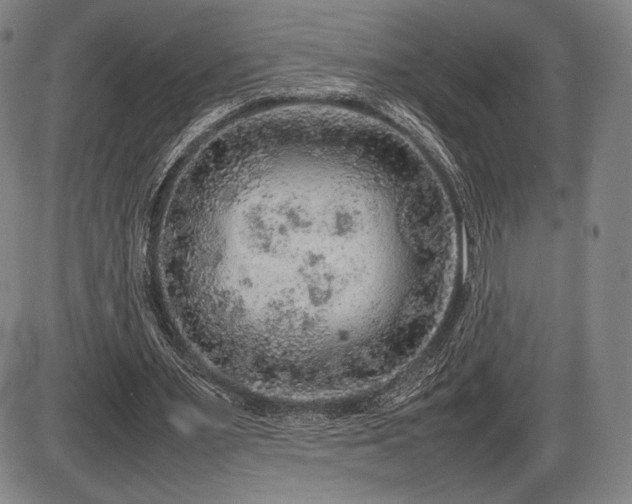 X0000086230483200703291333
