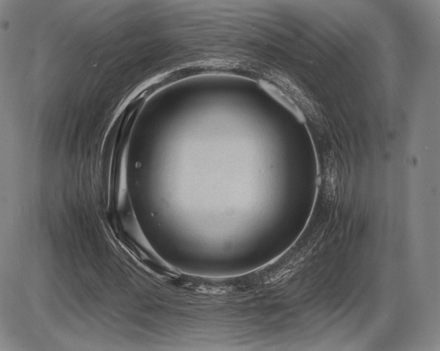 X0000086230484200703291333
