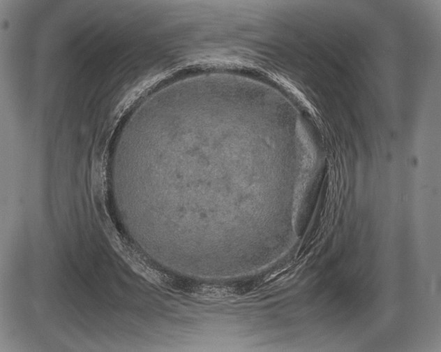X0000086230487200703291333