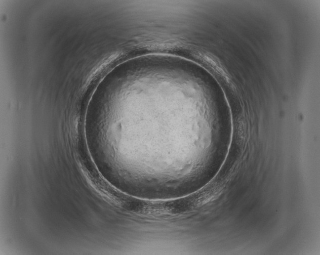 X0000086230491200703291333