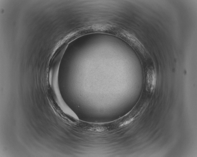 X0000086230492200703291333