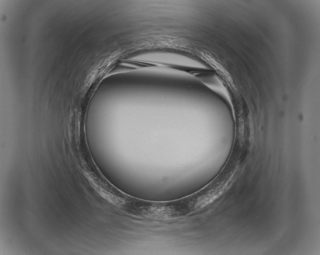 X0000086230493200703291333
