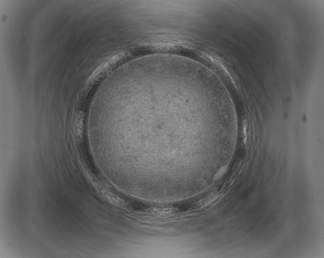 X0000086230495200703291333