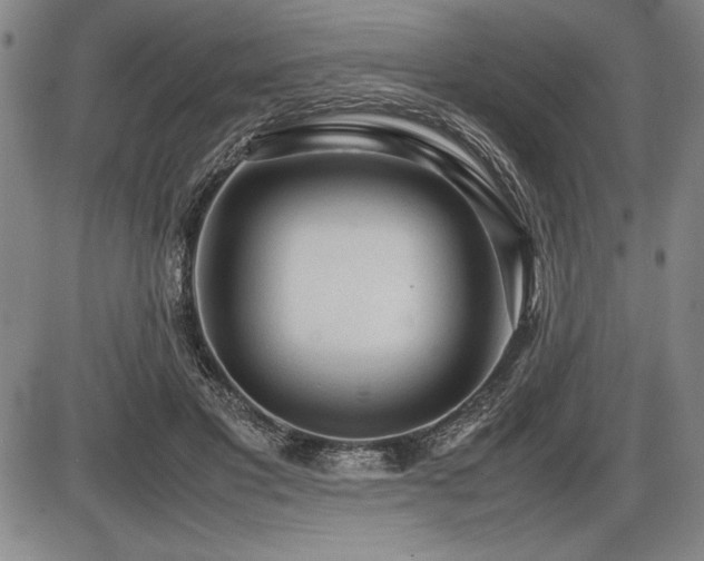 X0000086230501200703291333