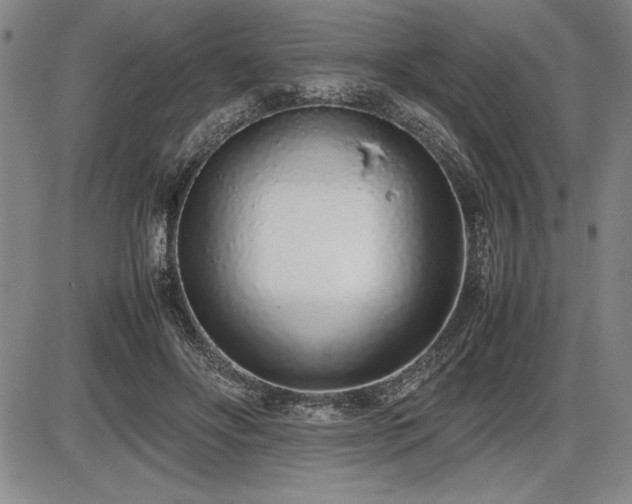 X0000086230502200703291333