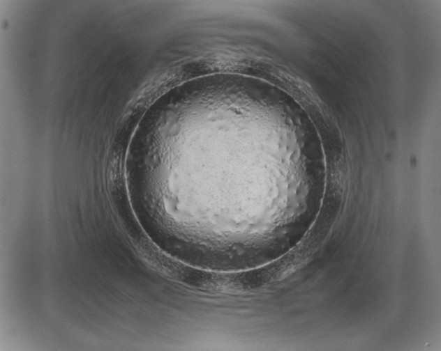 X0000086230503200703291333