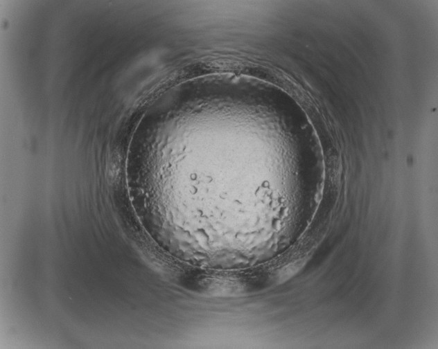 X0000086230507200703291333