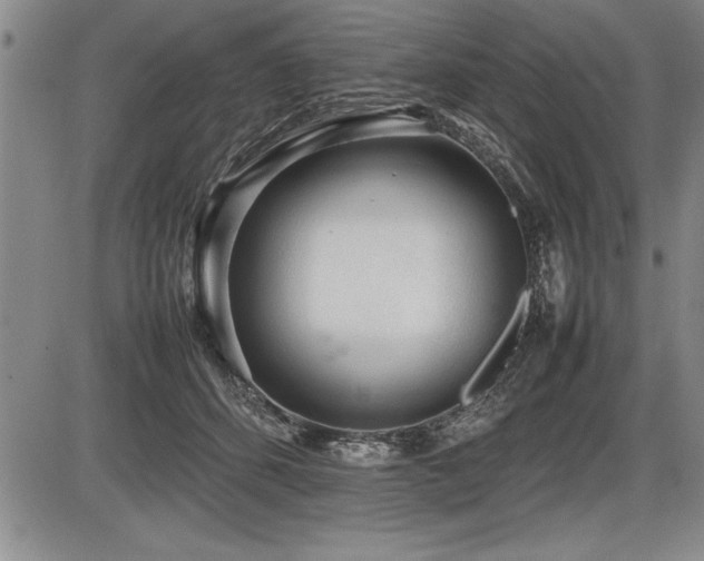 X0000086230512200703291333