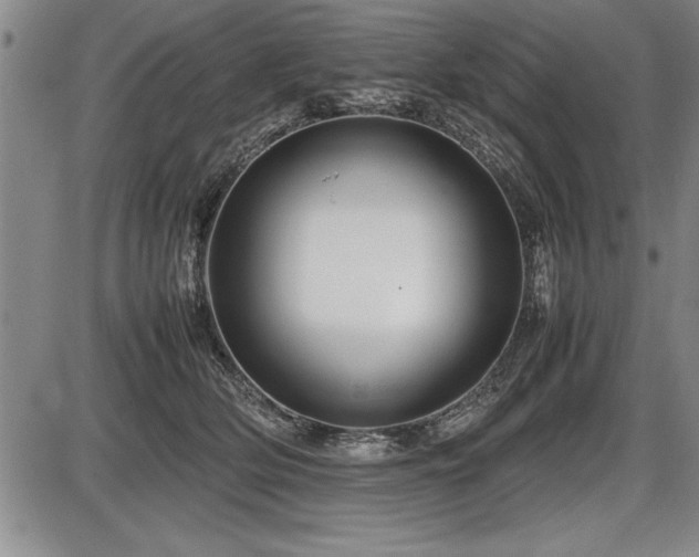 X0000086230514200703291333