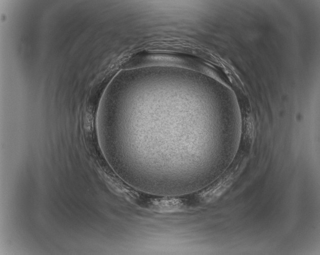 X0000086230517200703291333