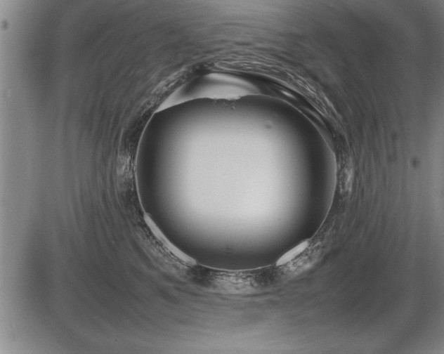 X0000086230521200703291333