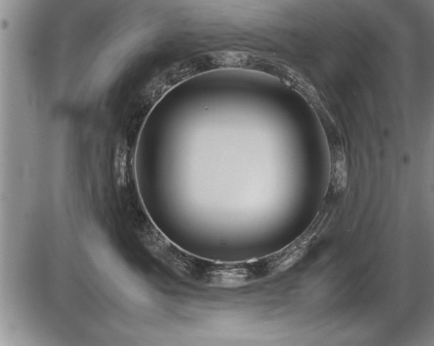 X0000086230525200703291333