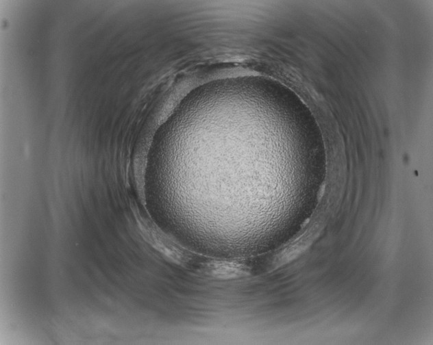X0000086230528200703291333