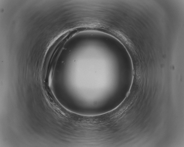 X0000086230532200703291332