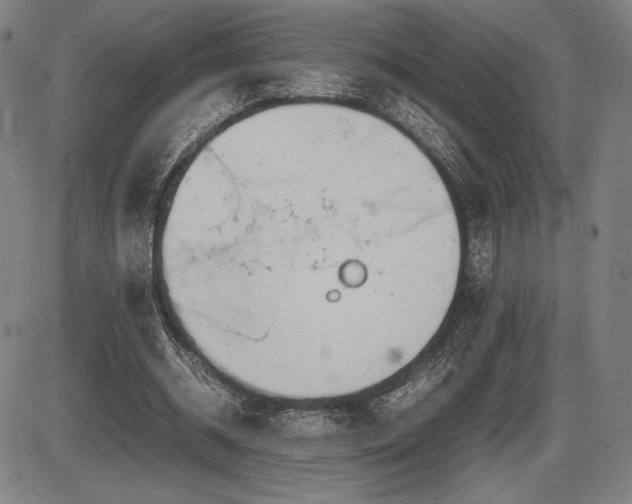 X0000086230534200703291332