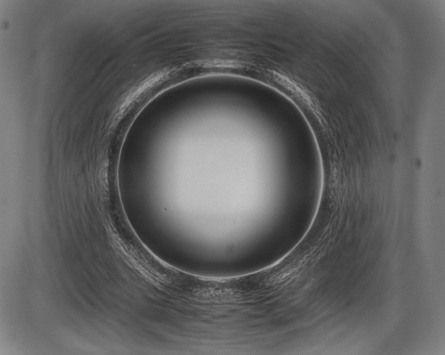 X0000086230535200703291332