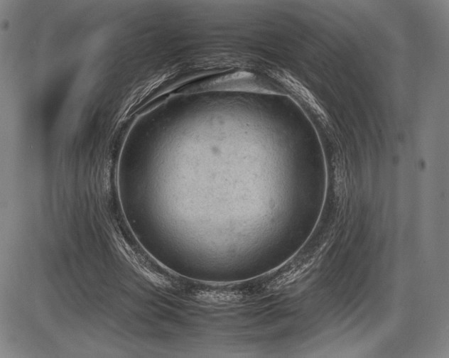 X0000086230537200703291332