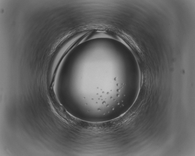 X0000086230538200703291332
